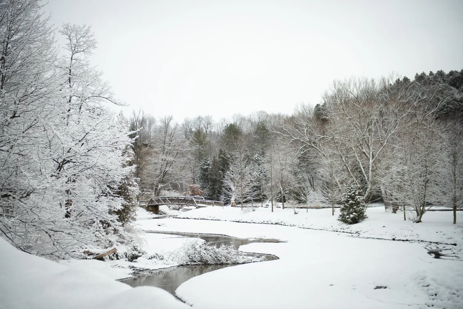 Winter covering the Sydenham River