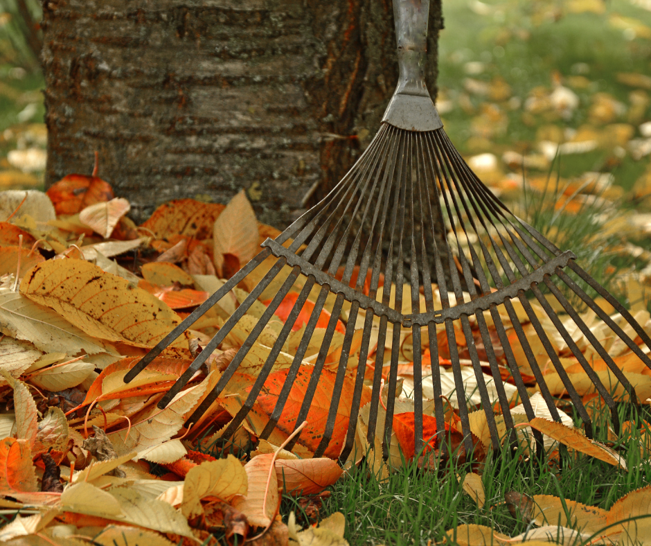 Image of Fall Operating Hours begin for Owen Sound Leaf and Yard Waste Site on November 4