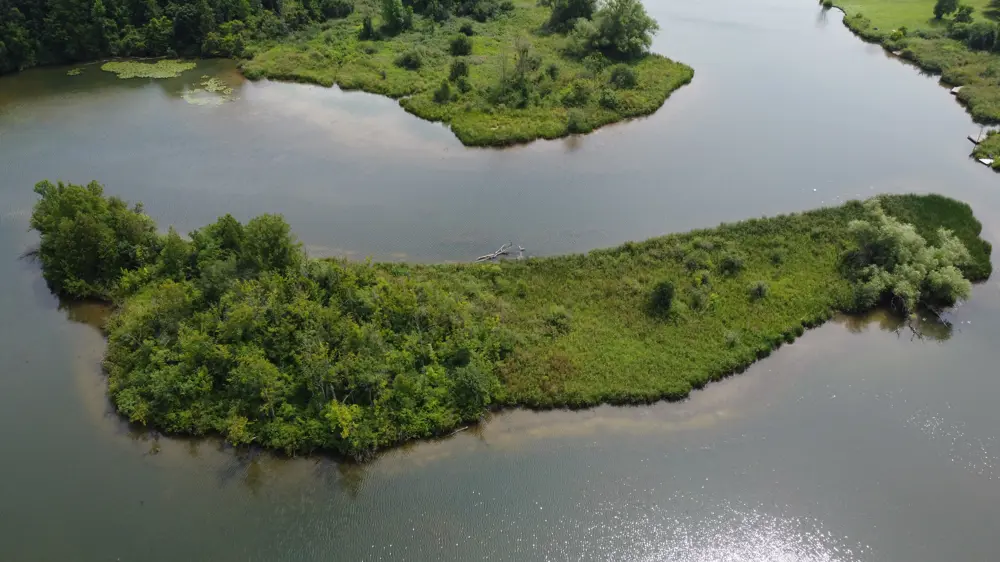 Aerial view of the Sydenham River with small island