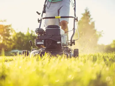 Lawn Cutting