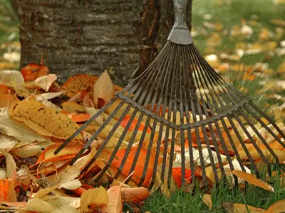 Leaf and Yard Waste